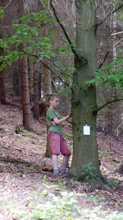 Modrý obelisk - 31.5-2.6.2019