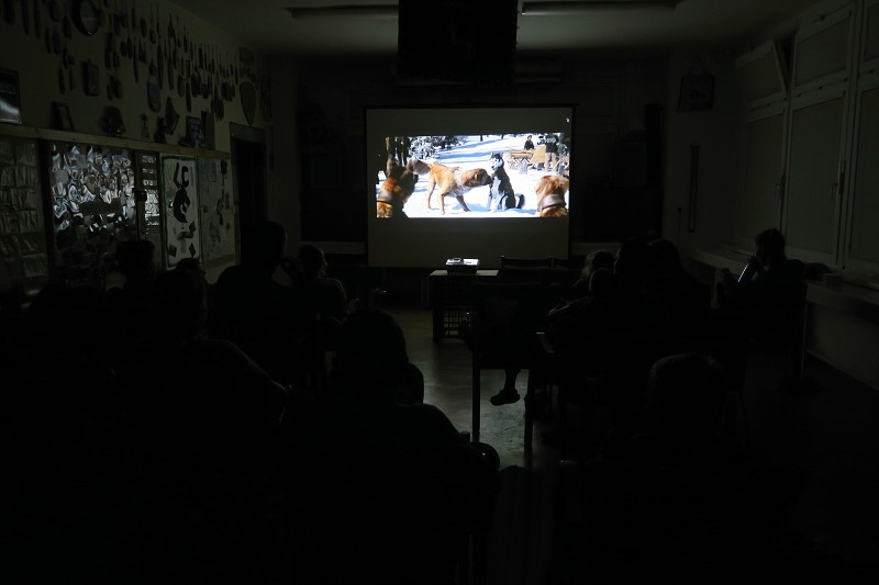 Kino, Landek - 11.-12.11.2022