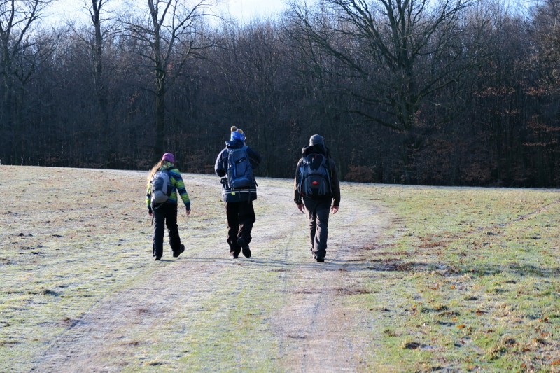 Stopy v přírodě - 15.1.2022