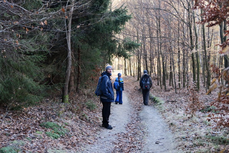 Stopy v přírodě - 15.1.2022