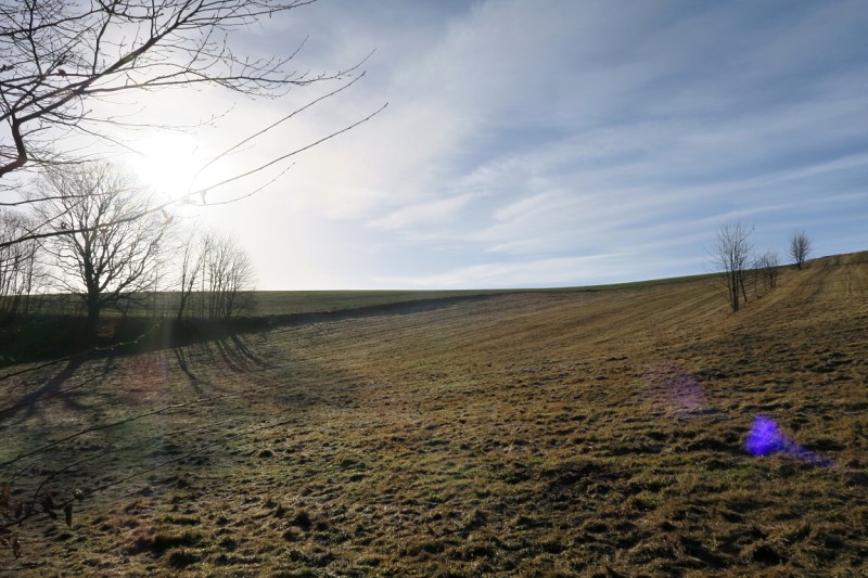 Stopy v přírodě - 15.1.2022